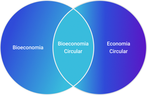 Bioeconomia Circular
